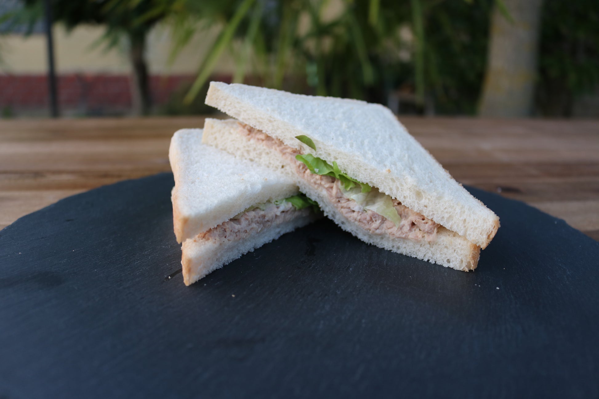 Bild von Sandwiches - Thunfisch I Salat